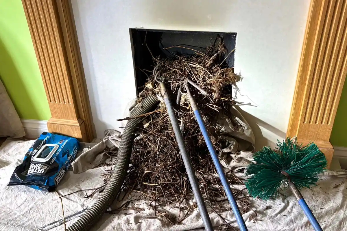 Chimney sweep and bird nest blockage clearance – substantial nest removed and bird guard cowl recommended in Faversham, Kent – Allchimneys Kent