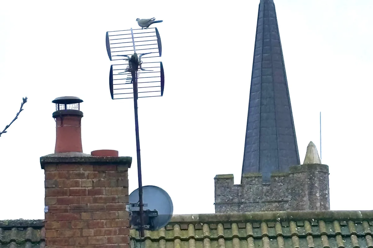 Chimney inspection and maintenance work in Wingham near St Mary’s Church by Allchimneys Kent